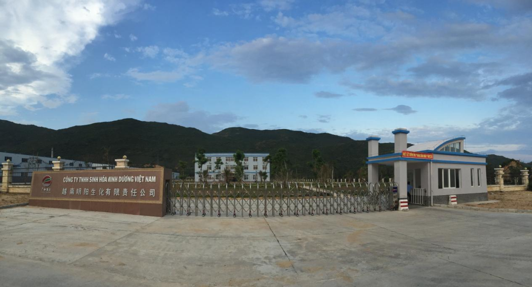 你知道嗎?廣西與越南貿易的"網紅"產品有哪些